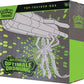 Pokémon TCG - Optimale Ordnung TTB - DE